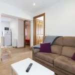 Rent 2 bedroom apartment in madrid