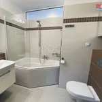 Rent 2 bedroom apartment of 50 m² in Český Těšín