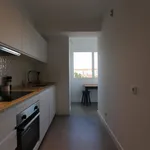 Rent 3 bedroom apartment in Lisbon