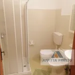 Rent 1 bedroom house of 30 m² in Pisa