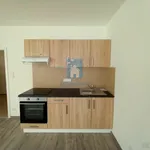 Rent 2 bedroom apartment in Plzeň