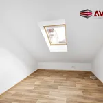 Rent 1 bedroom apartment in Opava