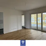 Rent 4 bedroom apartment of 112 m² in Dresden