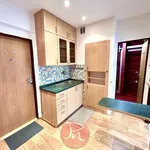 Rent 1 bedroom apartment in Frýdek - Místek