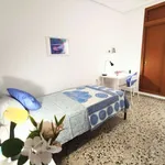 Rent a room in valencia