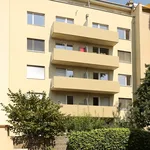 Rent 2 bedroom apartment of 54 m² in Basel