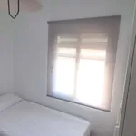 Alquilar 4 dormitorio apartamento en cadiz