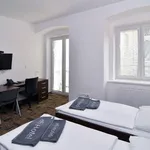 Rent 1 bedroom apartment of 27 m² in Brno