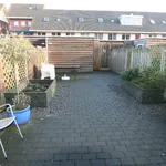 Rent 3 bedroom house of 111 m² in Almere