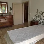 Rent 5 bedroom apartment of 120 m² in Siena