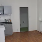 Rent 1 bedroom apartment in Brno