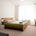 Rent 2 bedroom apartment of 79 m² in Prague