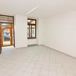 Rent 1 bedroom apartment of 41 m² in Chemnitz