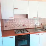 Rent 3 bedroom apartment of 110 m² in Frosinone