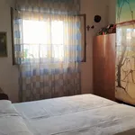 Rent 2 bedroom apartment in palermo