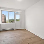  appartement avec 1 chambre(s) en location à Montreal