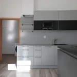 Pronajměte si 1 ložnic/e byt o rozloze 36 m² v Prague