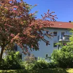 Rent 4 bedroom apartment of 76 m² in Essen