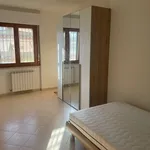 Rent a room of 12 m² in Latina