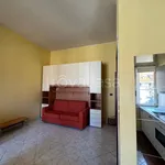 Rent 1 bedroom apartment of 35 m² in Torino