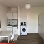 Rent 1 bedroom apartment of 21 m² in Kassel