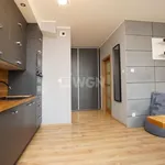 Rent 2 bedroom apartment of 55 m² in Konin