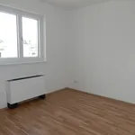 Rent 2 bedroom apartment of 40 m² in Vienna