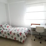 Alquilar 6 dormitorio apartamento en Seville