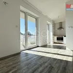 Rent 1 bedroom apartment of 35 m² in Chlumec nad Cidlinou