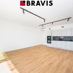 Rent 2 bedroom apartment in Brno