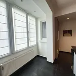 Rent 2 bedroom apartment of 160 m² in brussels