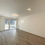 Pronajměte si 3 ložnic/e byt o rozloze 90 m² v Prague