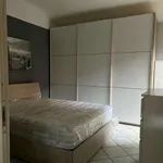 Rent 2 bedroom apartment of 50 m² in Turin