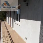 appartamento in affitto a montegrino valtravaglia