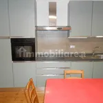 Rent 1 bedroom apartment of 30 m² in Cremona