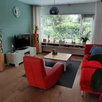 Huur 3 slaapkamer huis van 145 m² in Alkmaar