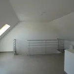 Rent 2 bedroom apartment of 138 m² in Gent