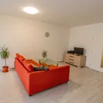 Pronajměte si 1 ložnic/e byt o rozloze 55 m² v Prague