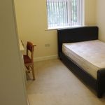 Rent 8 bedroom flat in East Midlands