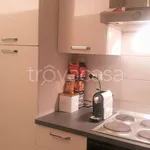 Rent 1 bedroom apartment of 30 m² in Torino