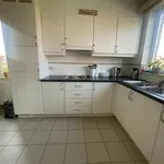 Rent 2 bedroom apartment in Hoogstraten