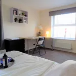 Rent 1 bedroom apartment in Coventry