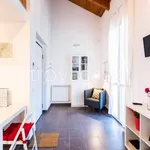 Rent 1 bedroom apartment of 40 m² in Milano