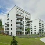 Pronajměte si 4 ložnic/e byt o rozloze 128 m² v Prague