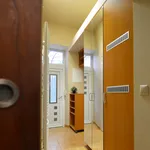 Rent a room of 49 m² in Brno