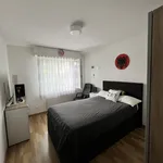 Miete 4 Schlafzimmer wohnung in Strengelbach