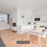 Rent 2 bedroom house in Brighton