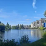 Rent 2 bedroom apartment of 54 m² in Berlin