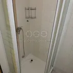 Rent 1 bedroom apartment of 30 m² in Ostrava