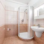 Rent 1 bedroom house in Capital City of Prague